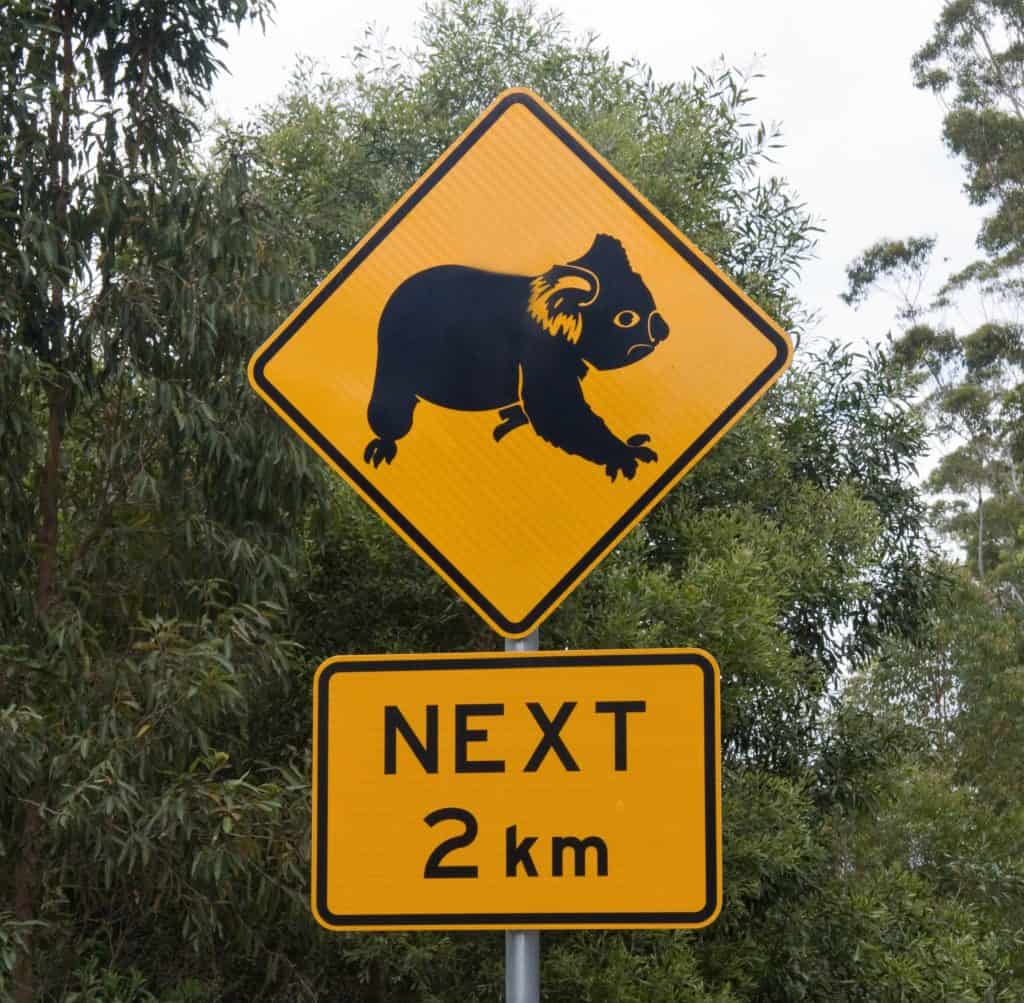 koalas next 2kms road sign