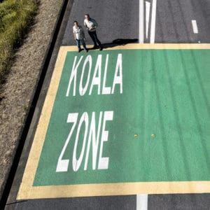 koala zone road sign