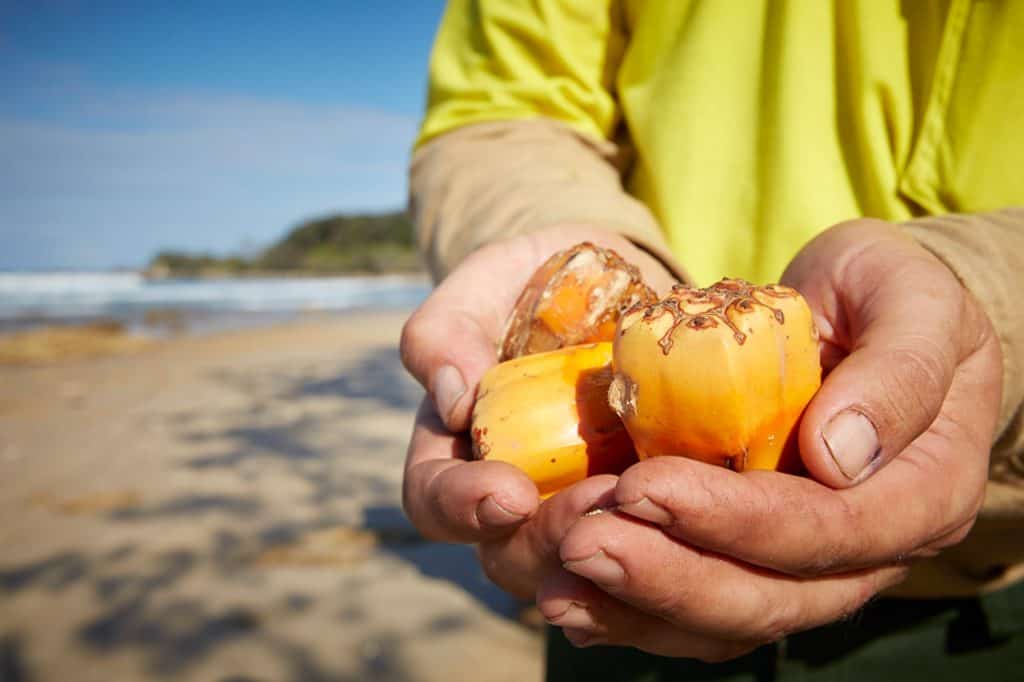 Man holding fruit