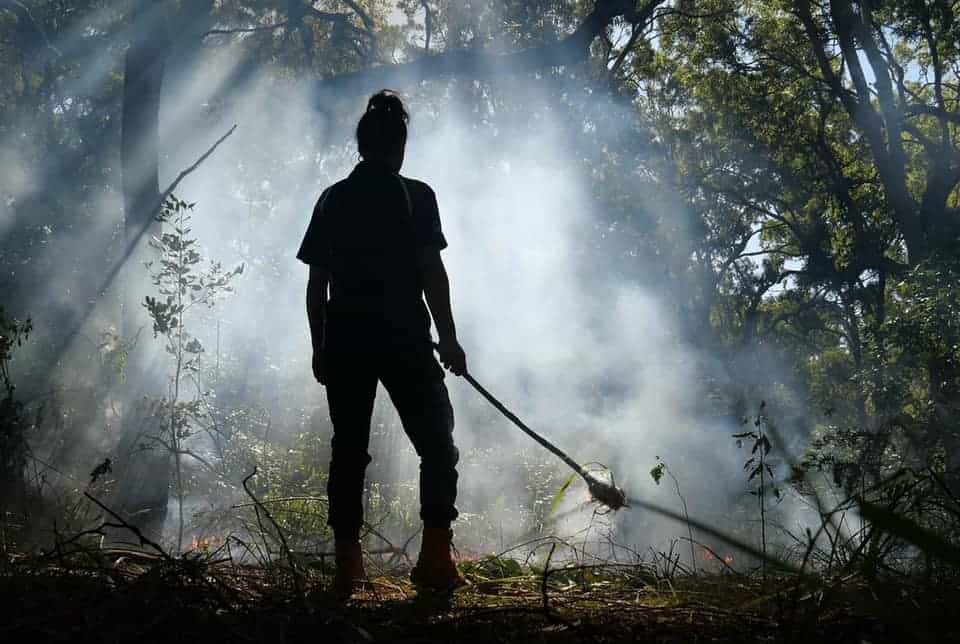 Aboriginal woman practices traditional burning in a forest