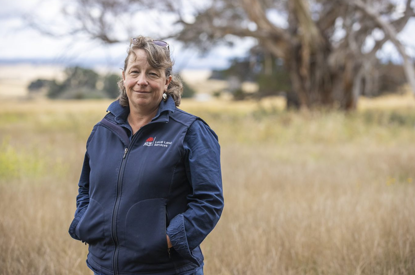 Kirrily Gould, Koala Officer