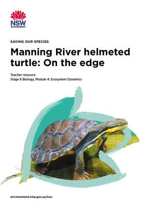 Manning River helmeted turtle: On the edge