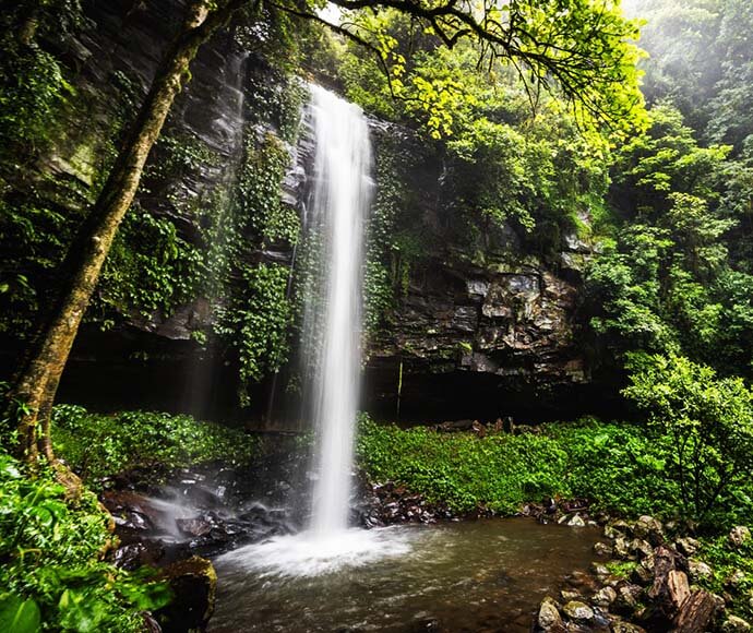 Dorringo National  Park Crystal shower Falls