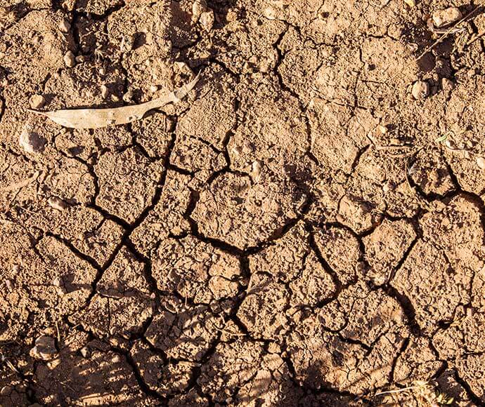 Dry soil and cracked earth.