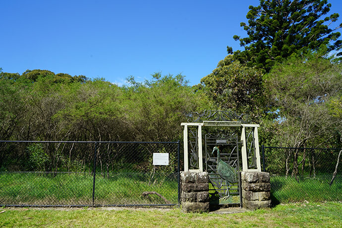 Entrance to the Bird Sanctuary at Centennial Park in Sydney, featuring the Brolga Gate with a decorative metal brolga bird with a long neck, surrounded by lush greenery and native plants.