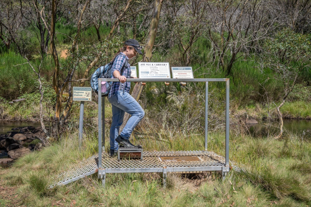 Someone walking on a small raised metal bridge that has some informational signs on the banister. The bridge is in the middle of a natural landscape. The person is lifting their leg to brush soil off their boot.