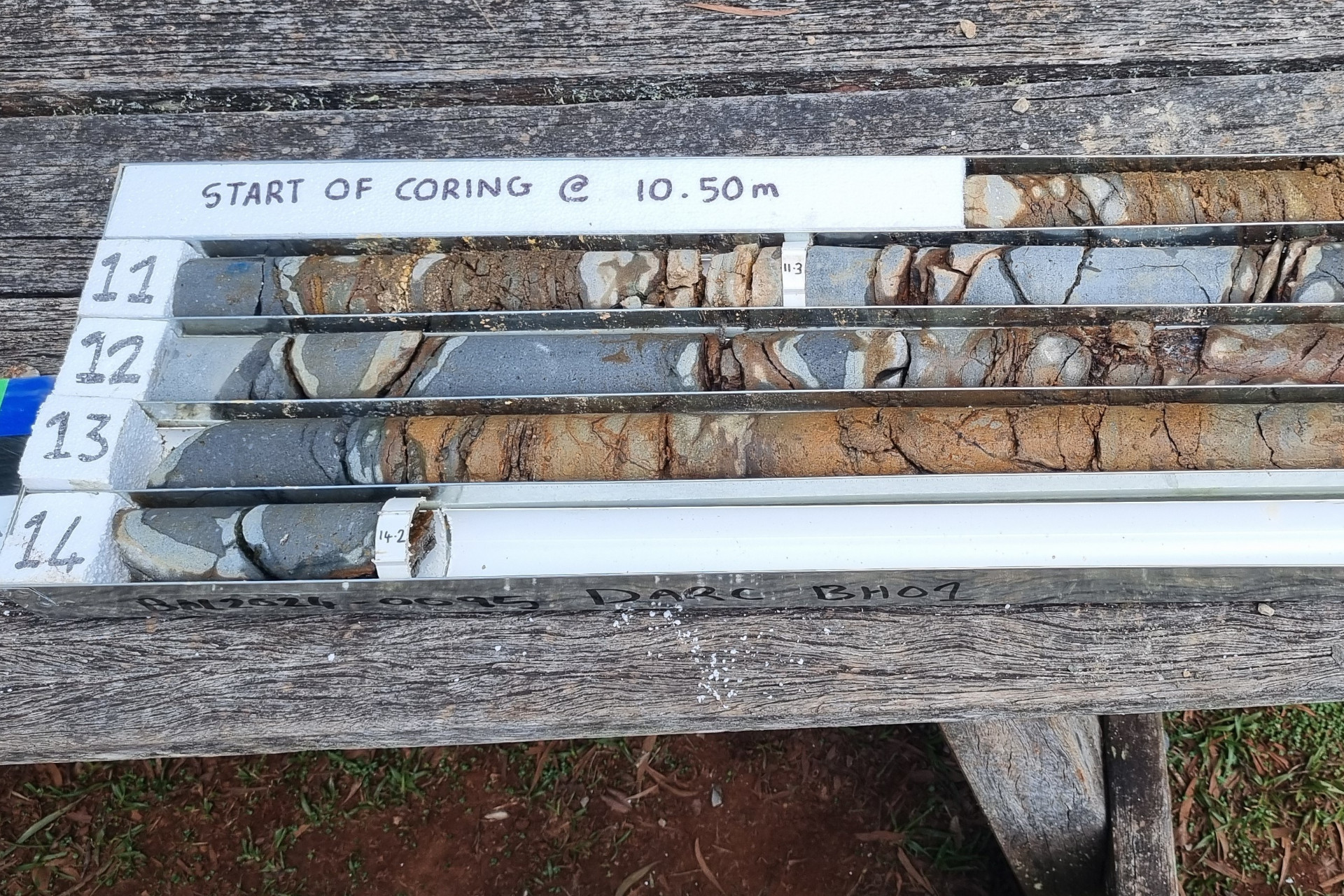 5 core samples taken from around the Dorrigo Rainforest Centre. Three are largely grey samples, while the other two samples have a grey crust and are largely coloured similarly to a pottery clay light brown.
