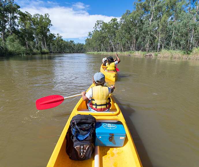 Canoeists paddling on the Murray River canoe trail