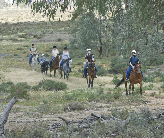 A group rides horses single file through the Murrumbidgee Valley National Park
