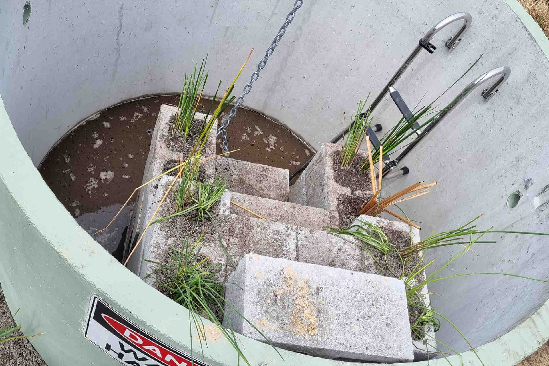 View of an artificial pond inside a tank with water and aquatic plants growing off stepped cement blocks leading up to the edge