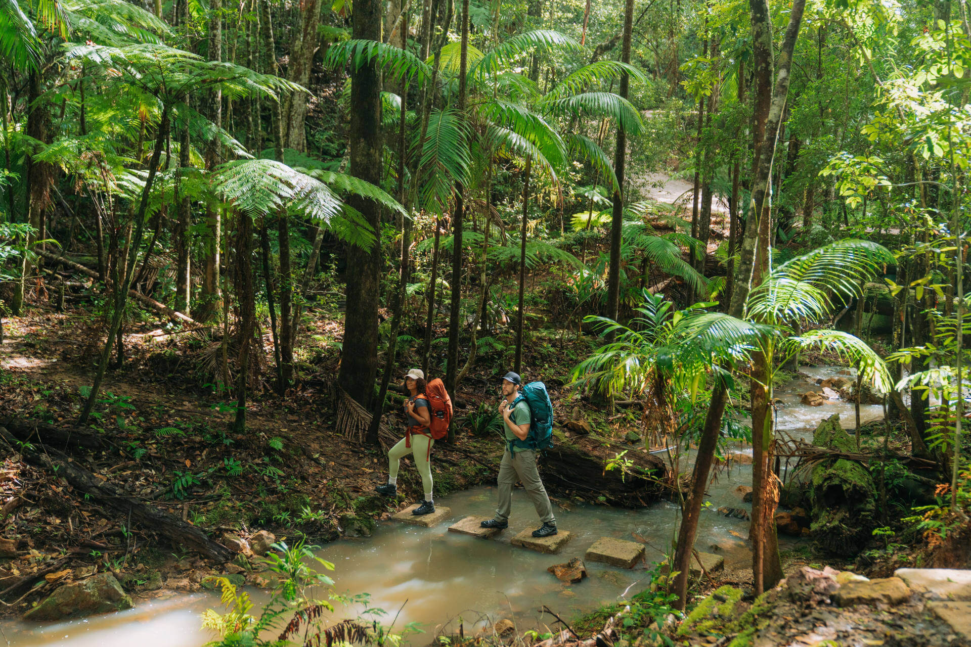 Two hikers with backpacks on Unicorn Falls walking track are crossing a small stream in a lush, green forest. They are stepping on stones placed in the water to avoid getting wet. Tall trees and ferns surround the area, creating a dense canopy overhead. Sunlight filters through the leaves, casting dappled shadows on the forest floor. 