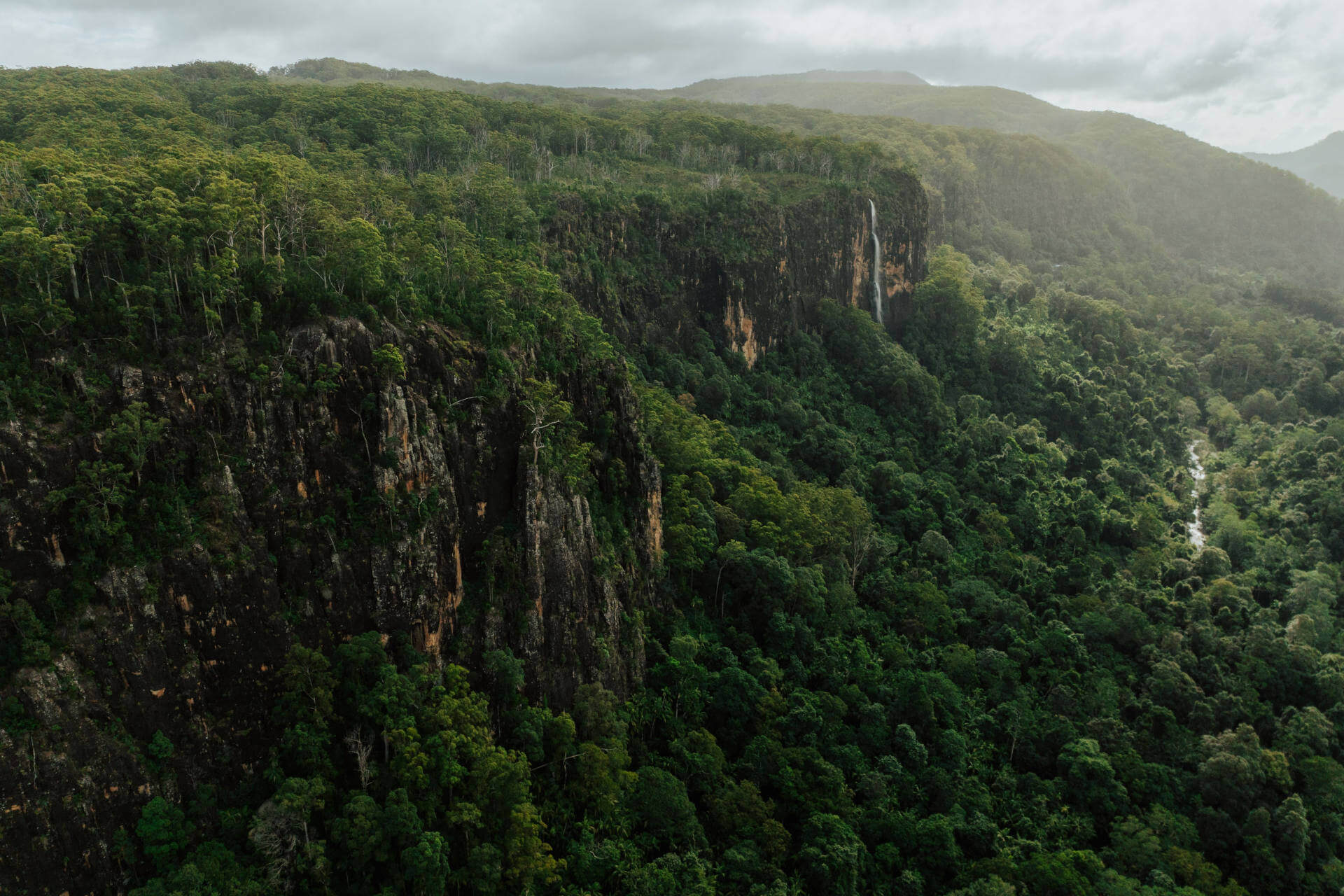 Aerial view of Wanganui Gorge, Gidjuum Gulganyi Walk, covered in a dense, green forest with tall cliffs and a river running through it. The landscape features lush vegetation, steep rock faces, and misty mountains in the background under a cloudy sky. 